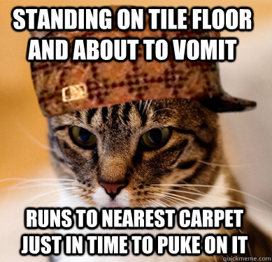 standing on tile floor and about to vomit runs to nearest carpet just in time to puke on it  Scumbag Cat