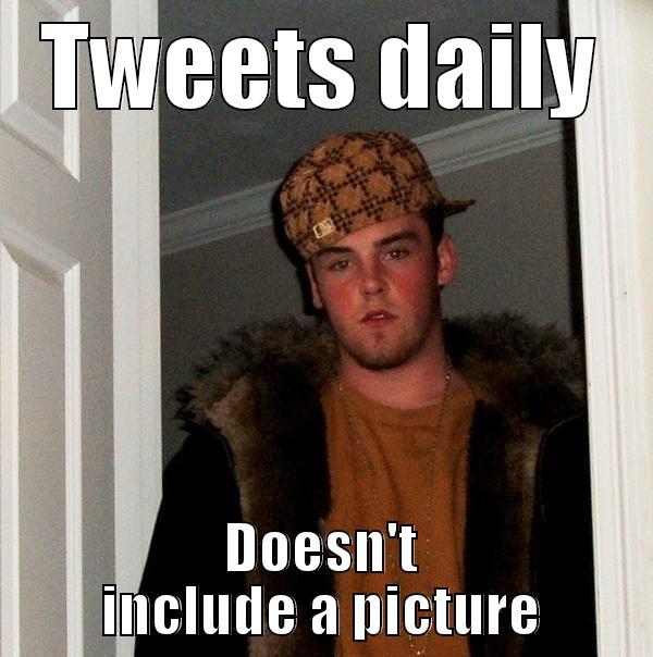 TWEETS DAILY DOESN'T INCLUDE A PICTURE Scumbag Steve