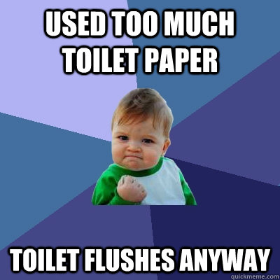 Used too much toilet paper Toilet flushes anyway  Success Kid