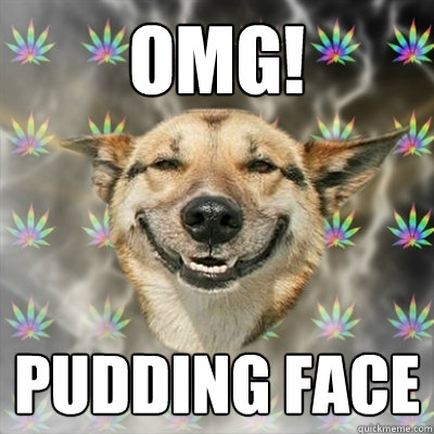 OMG! PUDDING FACE - OMG! PUDDING FACE  Stoner Dog