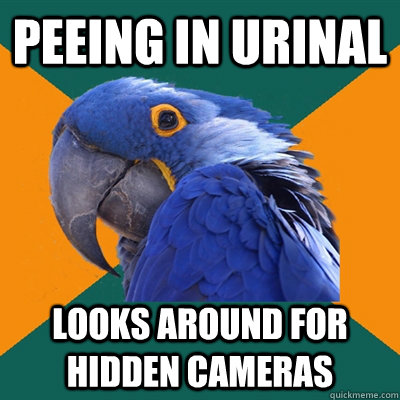peeing in urinal looks around for hidden cameras  Paranoid Parrot