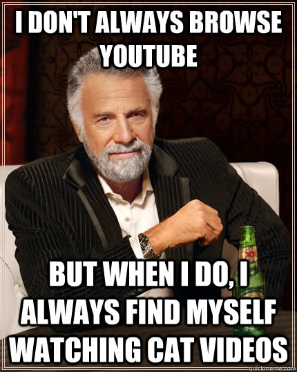 I don't always browse youtube but when I do, I always find myself watching cat videos  The Most Interesting Man In The World