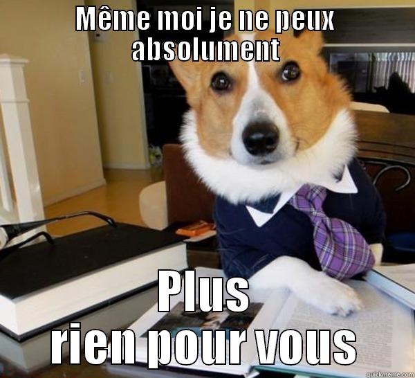 MÊME MOI JE NE PEUX ABSOLUMENT PLUS RIEN POUR VOUS Lawyer Dog