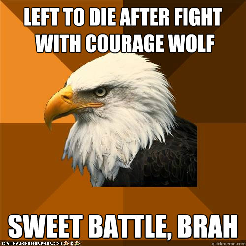 Left to die after fight
 with courage wolf SWEET BATTLE, BRAH  