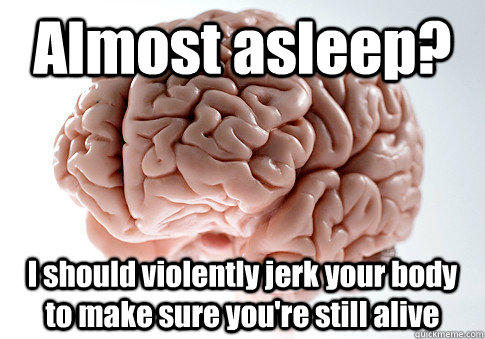 Almost asleep? I should violently jerk your body to make sure you're still alive  - Almost asleep? I should violently jerk your body to make sure you're still alive   Scumbag Brain