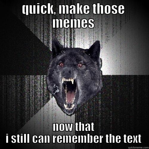 QUICK, MAKE THOSE MEMES NOW THAT I STILL CAN REMEMBER THE TEXT Insanity Wolf