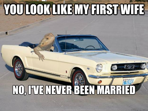 You look like my first wife No, I've never been married

 - You look like my first wife No, I've never been married

  Pickup Dragon