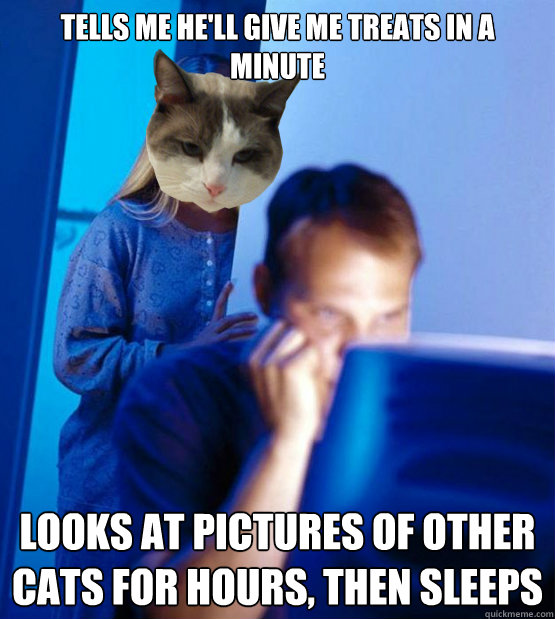 Tells me he'll give me treats in a minute Looks at pictures of other cats for hours, then sleeps  