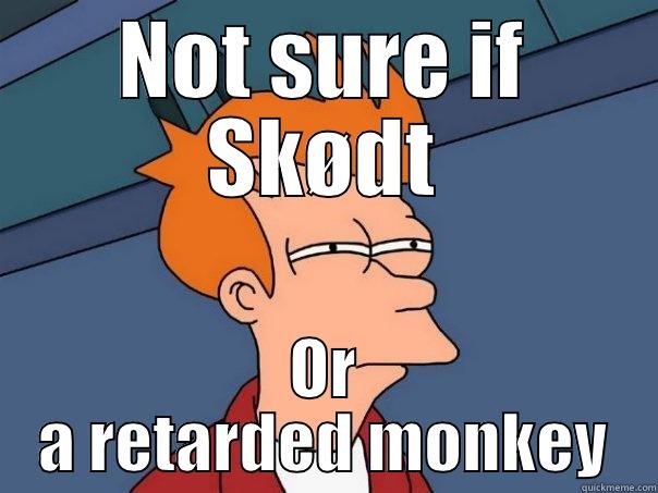 NOT SURE IF SKØDT OR A RETARDED MONKEY Futurama Fry
