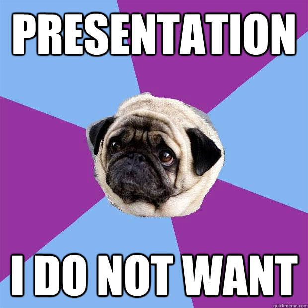 Presentation  I do not want  Lonely Pug