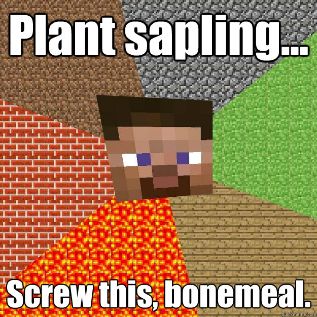 Plant sapling... Screw this, bonemeal.  Minecraft