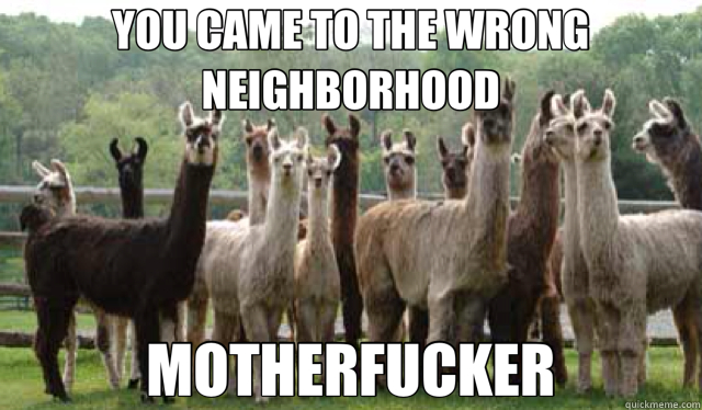 YOU CAME TO THE WRONG NEIGHBORHOOD MOTHERFUCKER  Wrong Neighborhood