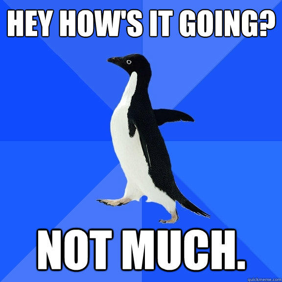 Hey how's it going?
 Not much. - Hey how's it going?
 Not much.  Socially Awkward Penguin