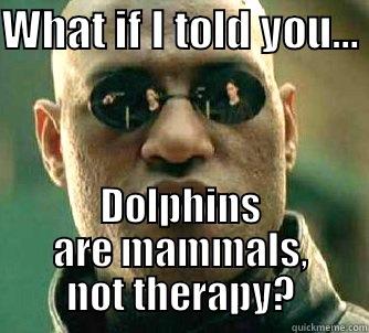 WHAT IF I TOLD YOU…  DOLPHINS ARE MAMMALS, NOT THERAPY? Matrix Morpheus