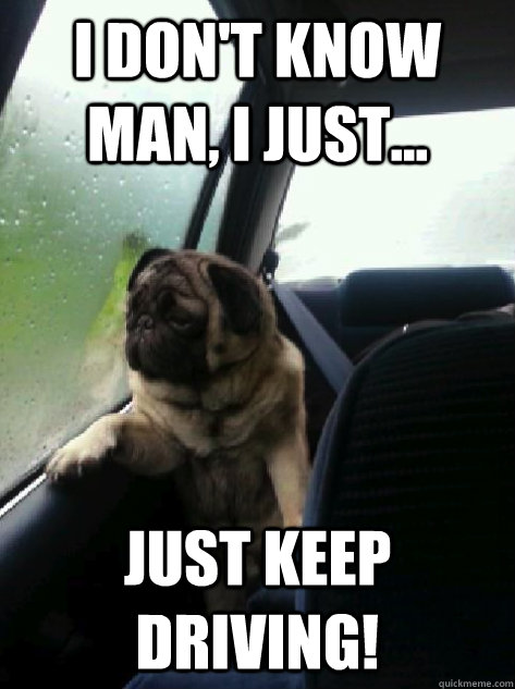 I don't know man, I just... just keep driving!  Introspective Pug