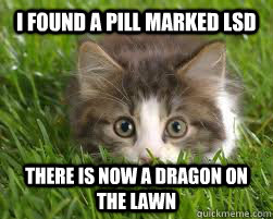 I found a pill marked LSD there is now a dragon on the lawn - I found a pill marked LSD there is now a dragon on the lawn  LSD Cat