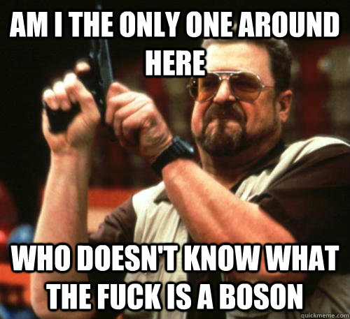 Am i the only one around here Who doesn't know what the fuck is a boson  Am I The Only One Around Here
