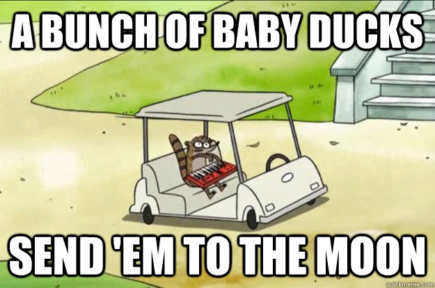 A bunch of baby ducks Send 'em to the moon - A bunch of baby ducks Send 'em to the moon  Send em to the Moon