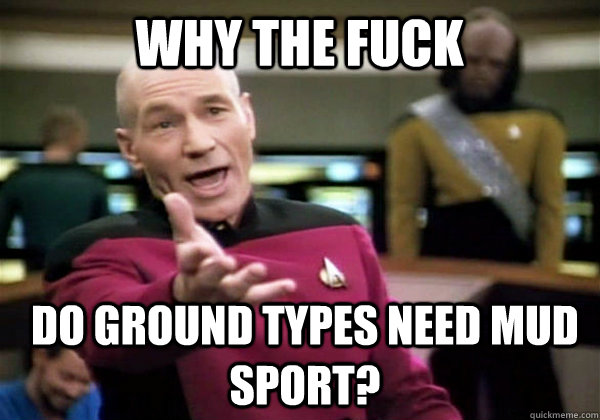 WHY THE FUCK Do ground types need mud sport?  