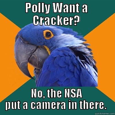 POLLY WANT A CRACKER? NO, THE NSA PUT A CAMERA IN THERE.  Paranoid Parrot