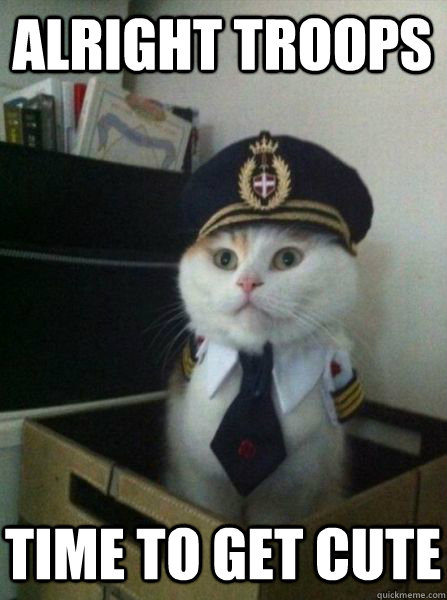 Alright Troops Time to get cute - Alright Troops Time to get cute  Captain kitteh