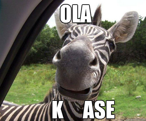 OLA    K     ASE - OLA    K     ASE  OLA K ASE-CEBRA