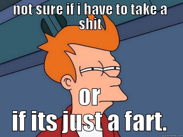 NOT SURE IF I HAVE TO TAKE A SHIT OR IF ITS JUST A FART. Futurama Fry