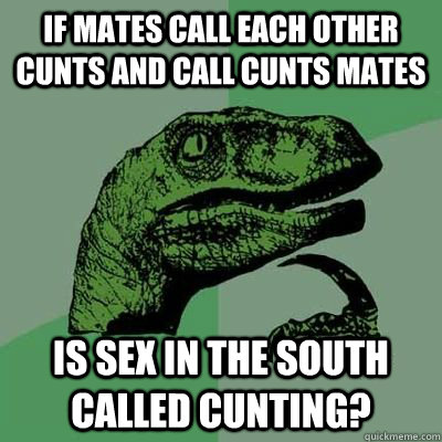 If mates call each other cunts and call cunts mates is sex in the south called cunting?  