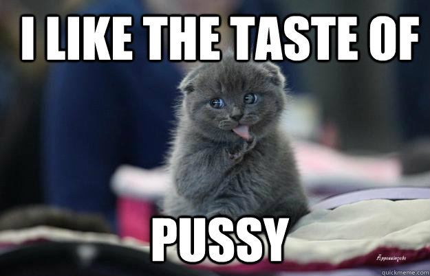  I like the taste of    pussy -  I like the taste of    pussy  Suspiciously Adorable Cat