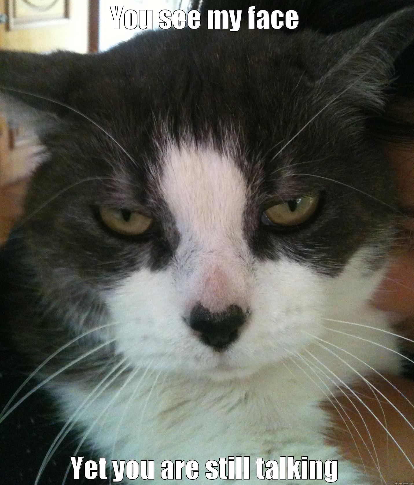 Impressed Kitty - YOU SEE MY FACE YET YOU ARE STILL TALKING Misc