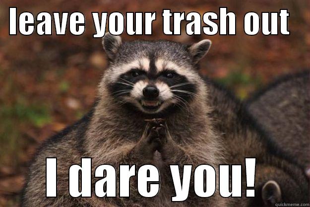  LEAVE YOUR TRASH OUT    I DARE YOU! Evil Plotting Raccoon