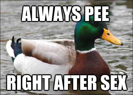 always pee right after sex - always pee right after sex  Actual Advice Mallard