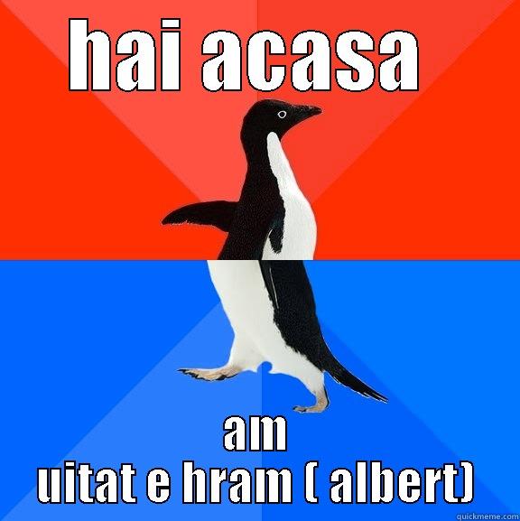 HAI ACASA  AM UITAT E HRAM ( ALBERT) Socially Awesome Awkward Penguin