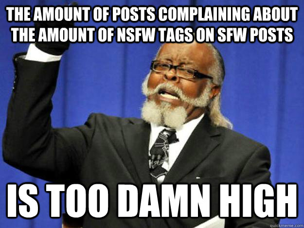 the amount of posts complaining about the amount of NSFW tags on SFW posts is too damn high  Toodamnhigh