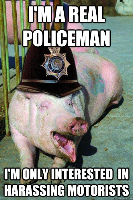 I'm a real policeman I'm only interested  in harassing motorists - I'm a real policeman I'm only interested  in harassing motorists  Police Pig
