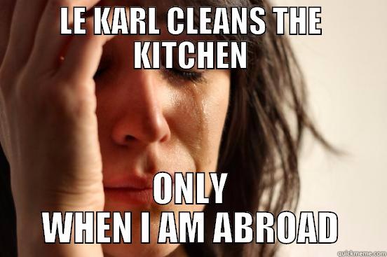 LE KARL CLEANS THE KITCHEN ONLY WHEN I AM ABROAD First World Problems