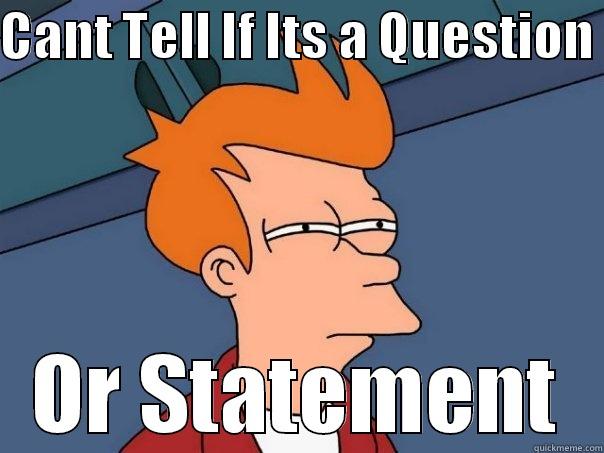 Question Or Statement - CANT TELL IF ITS A QUESTION  OR STATEMENT Futurama Fry