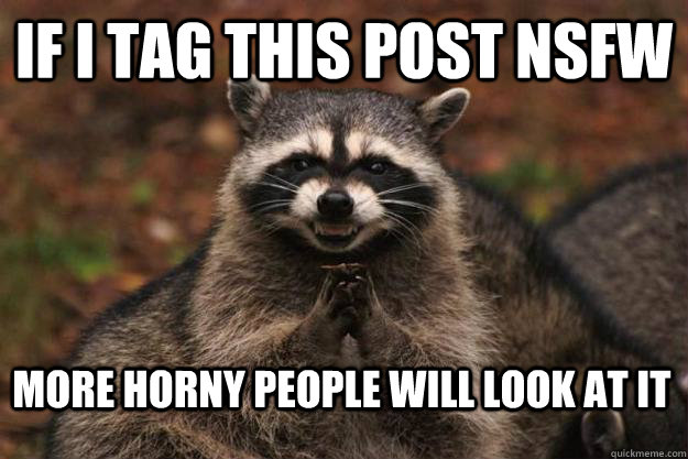 If i tag this post NSFW More horny people will look at it  Evil Plotting Raccoon