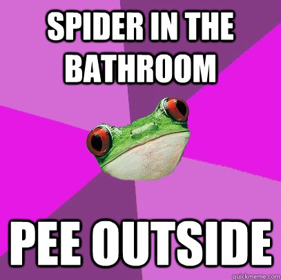 Spider in the bathroom Pee outside  Foul Bachelorette Frog