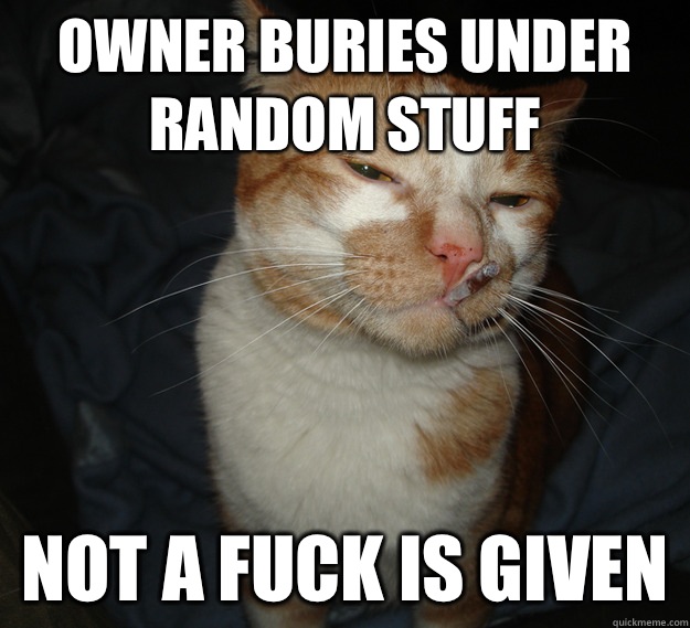 Owner buries under random stuff Not a fuck is given  Cool Cat Craig