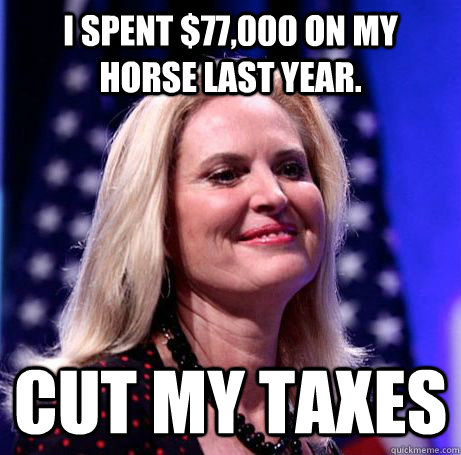 I spent $77,000 on my horse last year. Cut my Taxes  