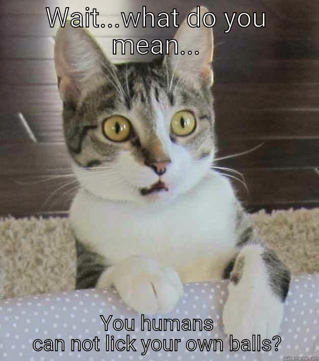 WAIT...WHAT DO YOU MEAN... YOU HUMANS CAN NOT LICK YOUR OWN BALLS? Misc