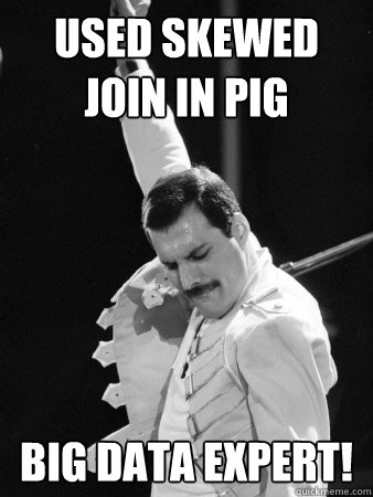Used Skewed join in pig Big data EXPERT!  Freddie Mercury