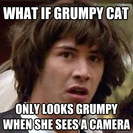 what if grumpy cat only looks grumpy when she sees a camera  conspiracy keanu
