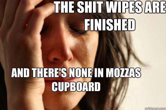 The shit wipes are finished and there's none in mozzas cupboard  First World Problems