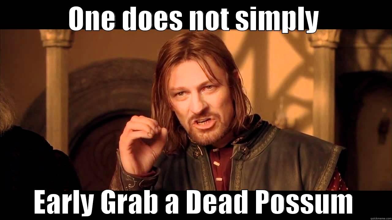 ONE DOES NOT SIMPLY EARLY GRAB A DEAD POSSUM Misc