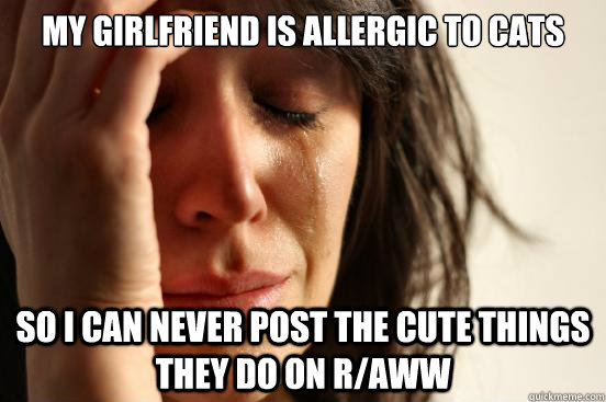 My girlfriend is allergic to cats so I can never post the cute things they do on r/aww  First World Problems