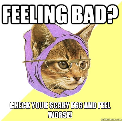 feeling bad? check your scary egg and feel worse!  Hipster Kitty