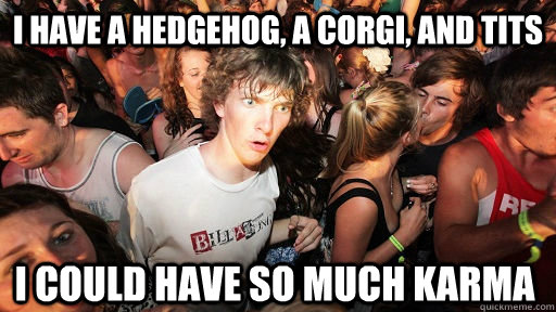 I have a hedgehog, a corgi, and tits I could have so much Karma - I have a hedgehog, a corgi, and tits I could have so much Karma  Sudden Clarity Clarence