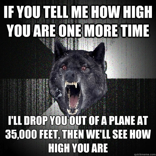 if you tell me how high you are one more time I'll drop you out of a plane at 35,000 feet, then we'll see how high you are  Insanity Wolf